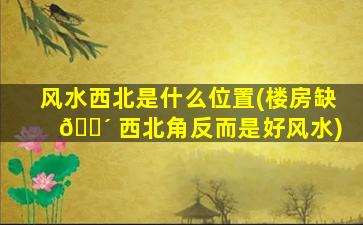 风水西北是什么位置(楼房缺 🌴 西北角反而是好风水)